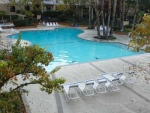 330 N Civic Dr Apt 304 Walnut Creek, CA 94596 - Image 2823079