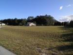 LOT 60 PHASE II/ SPRING LAKE Fruitland Park, FL 34731 - Image 2824490