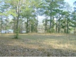 Lot 6 W T White Subdivision Abbeville, AL 36310 - Image 2826255