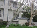 10234 Variel Ave Unit 17 Chatsworth, CA 91311 - Image 2826529