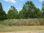 LOT 4 MAGNOLIA HILLS Kathleen, GA 31047 - Image 2826954