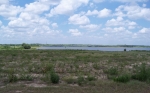 LOT 150 STARGRASS DR Auburndale, FL 33823 - Image 2827227