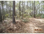 Lot 4 Eagle Neck Townsend, GA 31331 - Image 2829322