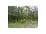 0 Smallman Dade City, FL 33523 - Image 2829447