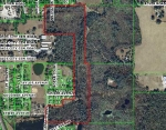 RIVER RD Dade City, FL 33525 - Image 2829448