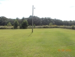 446 Co Rd 8 Headland, AL 36345 - Image 2829792