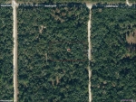 Table Rock Dr Webster, FL 33597 - Image 2830334