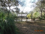 660 Sw 102nd St Lake Butler, FL 32054 - Image 2833426