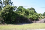 197 JENNIFER DR, LOT 20 Rotonda West, FL 33947 - Image 2833594