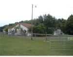 24321 County Road 561 Astatula, FL 34705 - Image 2834372