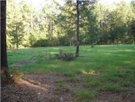 7760 DELEMAR HWY Ravenel, SC 29470 - Image 2841071