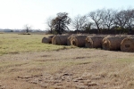 0 FM 3012 Wharton, TX 77488 - Image 2900020