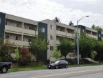 4800 Fauntleroy Way SW Unit 203 Seattle, WA 98116 - Image 2902824