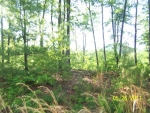 LOT 26 HIDDEN VALLEY Mineral Bluff, GA 30559 - Image 2922185