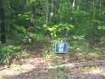 LOT 80 COLDWATER CREEK Mineral Bluff, GA 30559 - Image 2922184