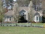 1356 Blue Bird Rd Mineral Bluff, GA 30559 - Image 2922182