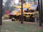 11830 Butternut Way Nevada City, CA 95959 - Image 2937173