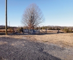 1270 FORK ROAD Greenback, TN 37742 - Image 2947671