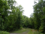 LOT 1A JADE MTN SUBD Millers Creek, NC 28651 - Image 2951493