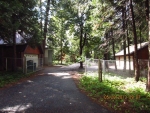 20262 Scotts Flat Road Nevada City, CA 95959 - Image 2964465