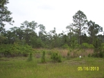 Lot 97 The Refuge At Panace Panacea, FL 32346 - Image 2967032