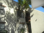 1927 E Hampton Ave Unit 262 Mesa, AZ 85204 - Image 2970448