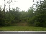 Lot 36 Block A Natural Brid Tallahassee, FL 32305 - Image 2973517