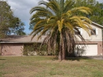 23855 Forest Green Pl Land O Lakes, FL 34639 - Image 2975134