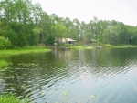 183 Arrowhead Point Rd Hawthorne, FL 32640 - Image 2976885