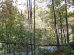 LOT 14 QUEENS GAP Rutherfordton, NC 28139 - Image 2978023