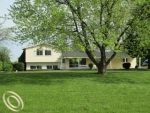 11055 Patty Ann Ln Romeo, MI 48065 - Image 2978921