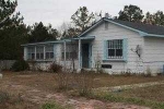 176 Kinship Ln Midway, AL 36053 - Image 3074690