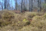 LOT 365 GREY ROCK Lake Lure, NC 28746 - Image 3077811