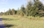 TBD NW SR 6 WEST Jasper, FL 32052 - Image 3084621