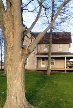 14660 Francis Rd Lansing, MI 48906 - Image 3087779