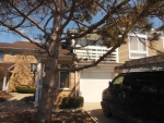 1016 Courtland Dr Buffalo Grove, IL 60089 - Image 3089447