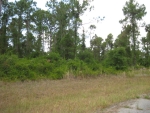 Lot 2 Ewen North Port, FL 34286 - Image 3095057