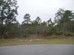 Lot 92 Panacea, FL 32346 - Image 3096332