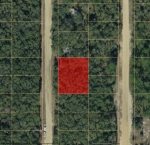 LOT 10 AND 11 INTERLACHEN Interlachen, FL 32148 - Image 3097735