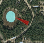 LOT 12 INTERLACHEN Interlachen, FL 32148 - Image 3097734