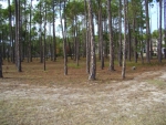 3768  GLENMERE LANE LOT 28 Southport, NC 28461 - Image 3101353