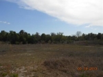 4320 Mecca Hammock Road (Apn# 13-20 Sanford, FL 32773 - Image 3101406