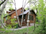 232 Apollo Dr Black Hawk, CO 80422 - Image 3102294