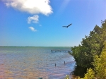 1571 State Rd 4a Summerland Key, FL 33042 - Image 3102673