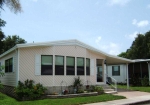 1118 sparrow Tarpon Springs, FL 34689 - Image 3102783