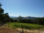 0 Hennessey Ridge Rd Saint Helena, CA 94574 - Image 3103798