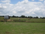 1988 South Rd Whitesboro, TX 76273 - Image 3103987