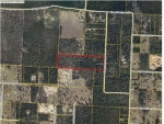 18.56 AC FIRESIDE LN Milton, FL 32583 - Image 3105381