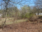 174 Raburn Road Bremen, GA 30110 - Image 3105624