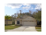 4607 Mcbrine Ct Land O Lakes, FL 34639 - Image 3106016